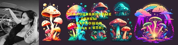 МДПВ Алексеевка