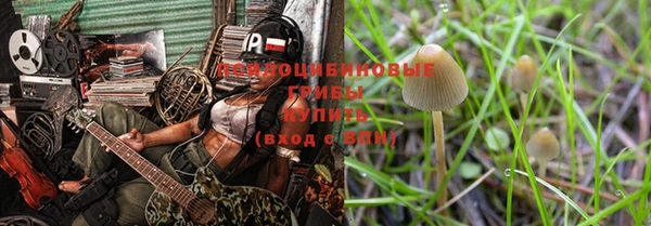 МДПВ Алексеевка