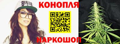 гашик Ирбит