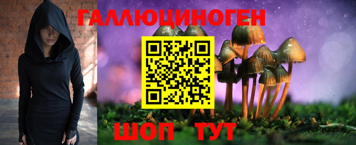Псилоцибиновые грибы Cubensis Чайковский
